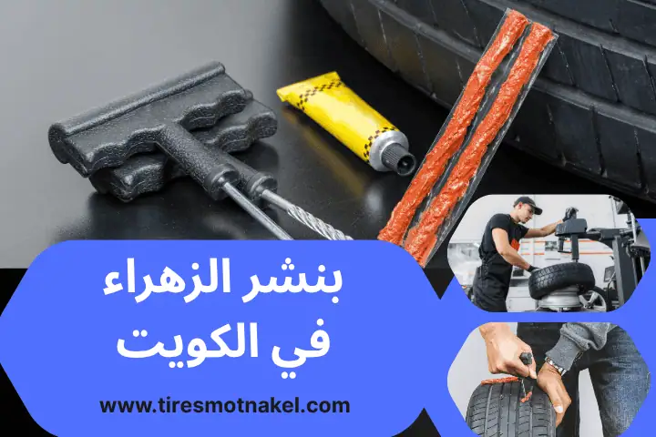 خدمة بنشر الزهراء